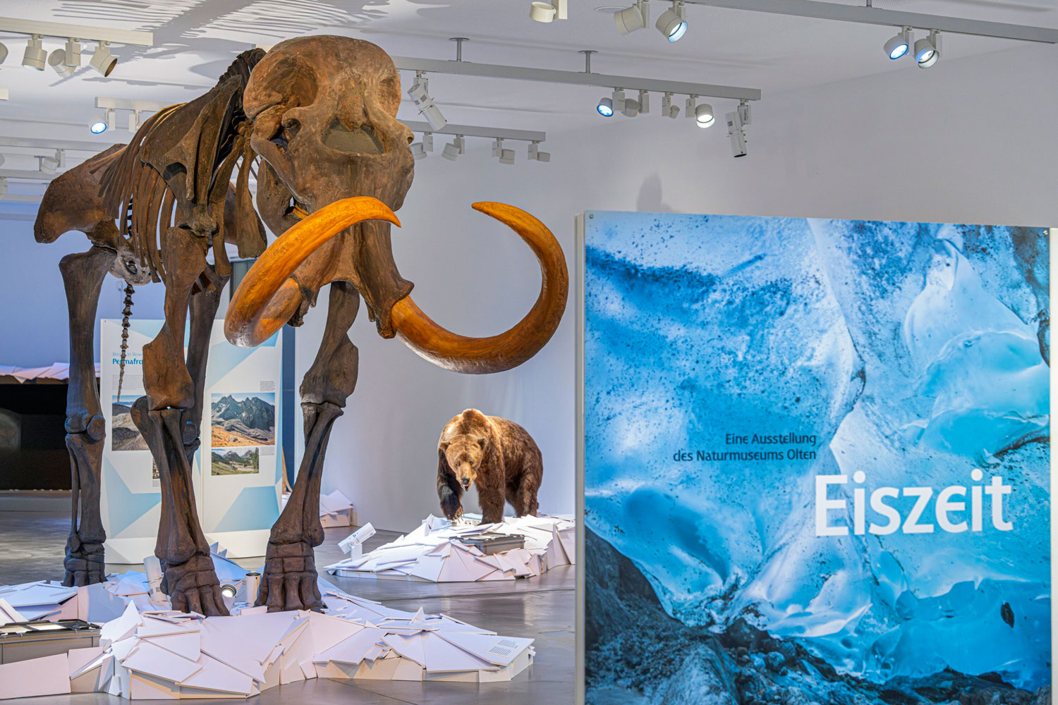 3 Mammut mit Introplakat neu