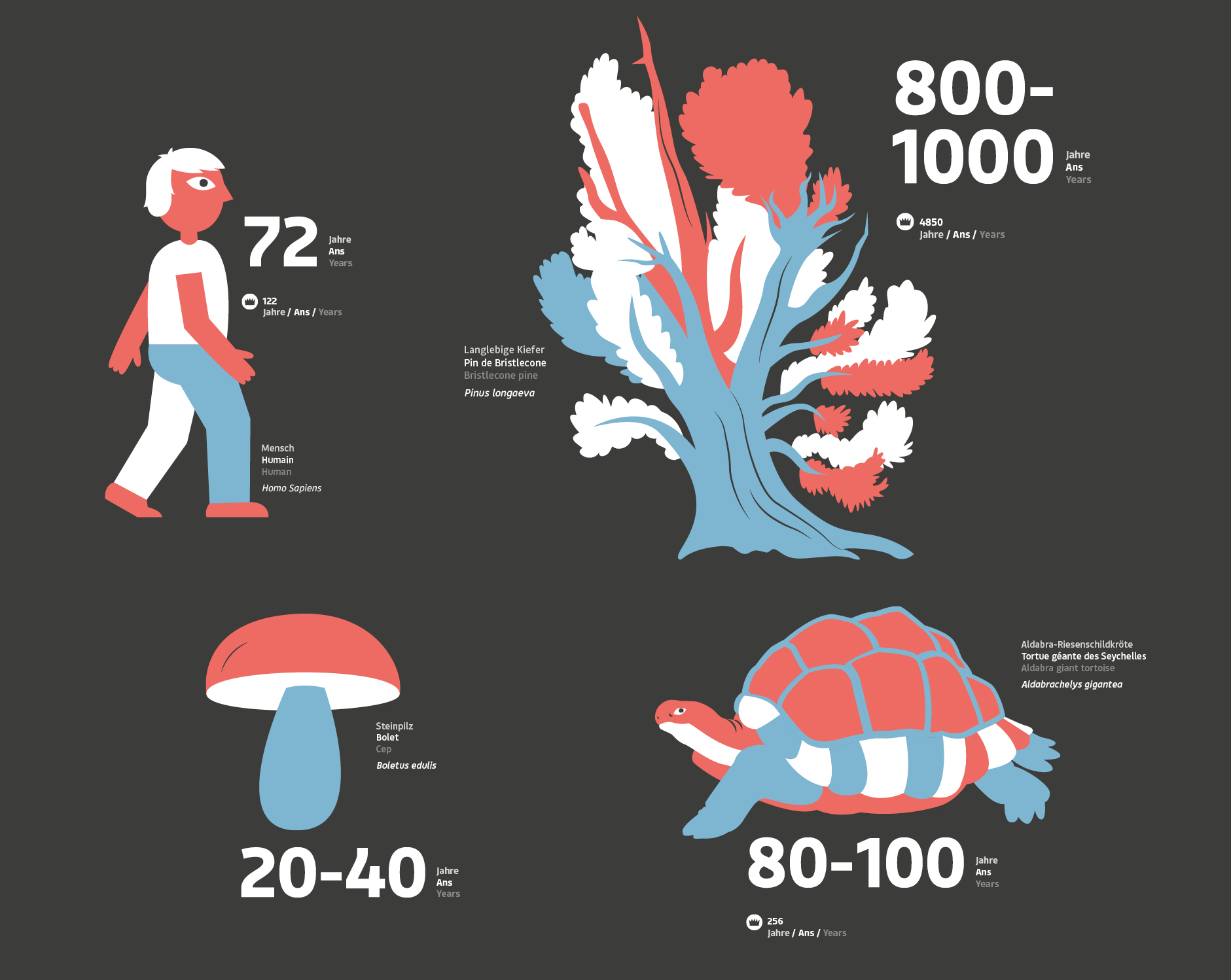 1 illustrations tic tac2