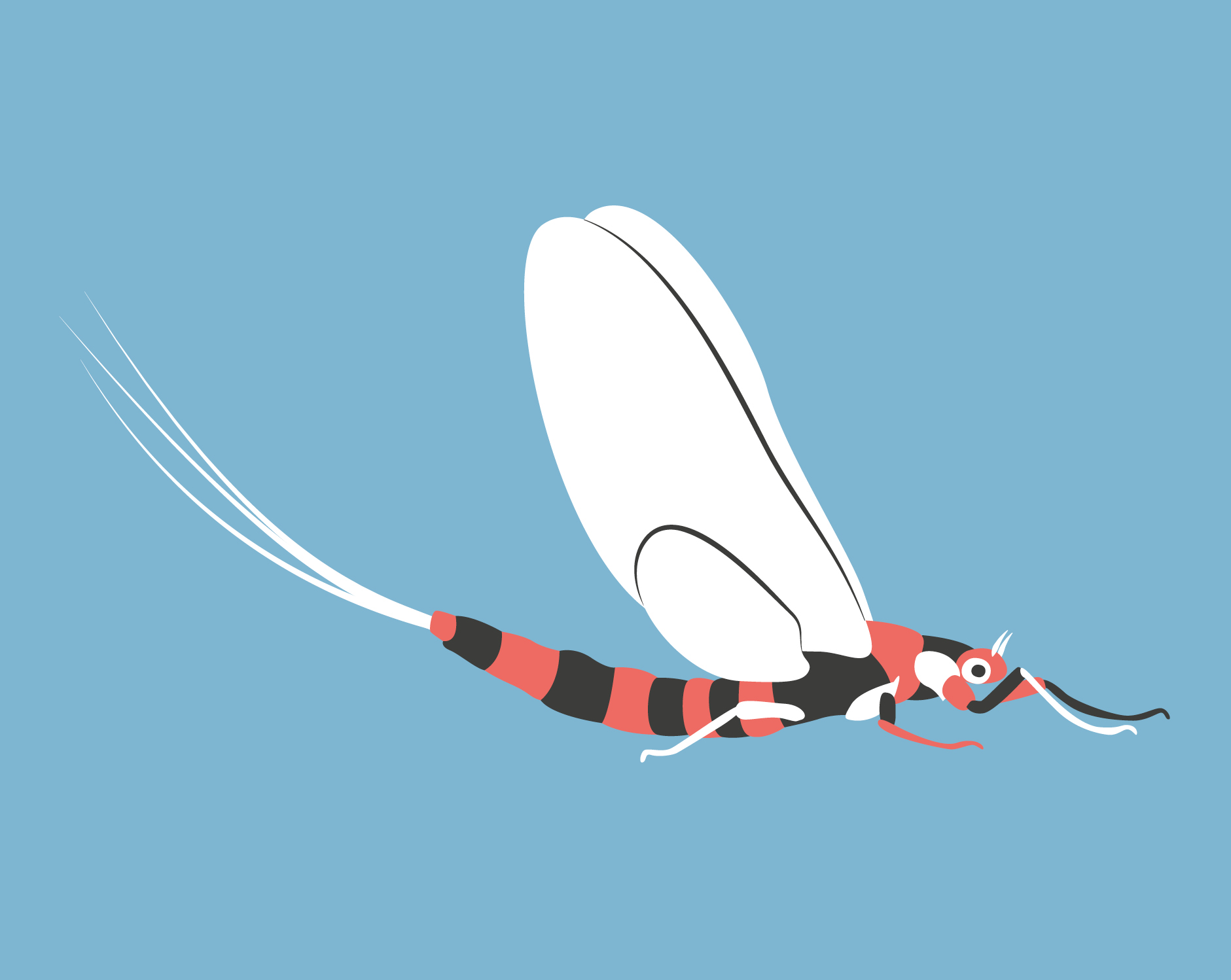 Naturmuseum Olten Wildpferdknochen