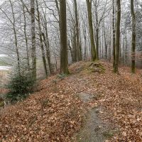Vortrag «Eine keltische Befestigung auf dem Buechholz in Eppenberg»