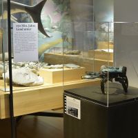 Familienwoche «Museum goes Film»