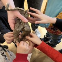 Ferienspecial «Entdecken, erleben, erfahren»
